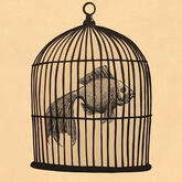 Fish in a Birdcage